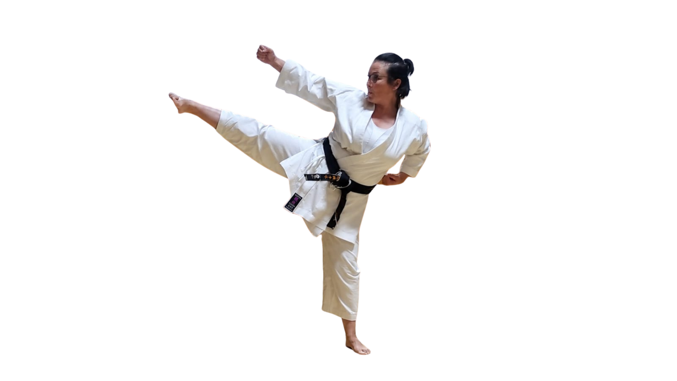 KAITEN Juunan (Flexible Line)