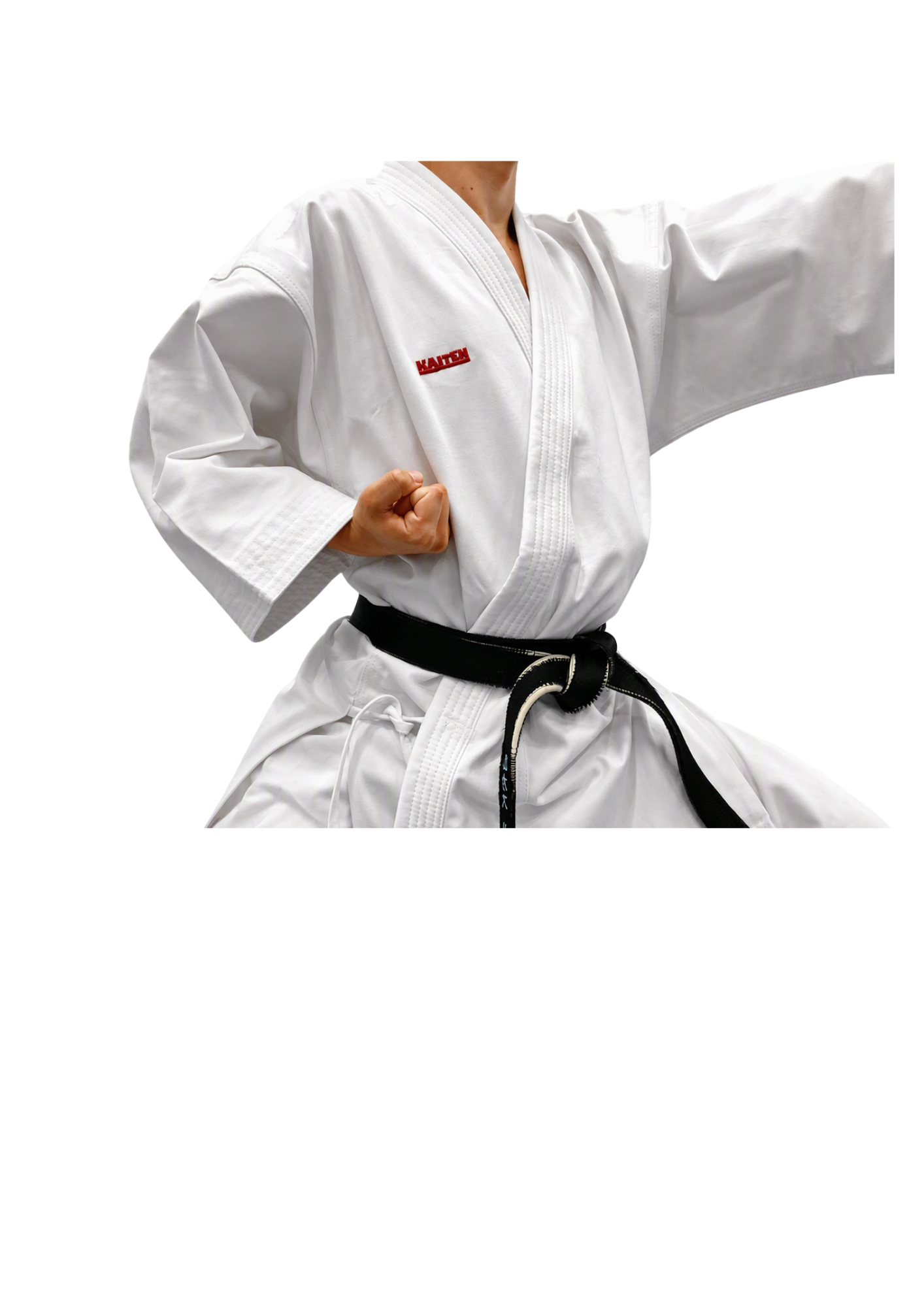 Kaiten Monarch Kata bestickt mit "KAITEN"